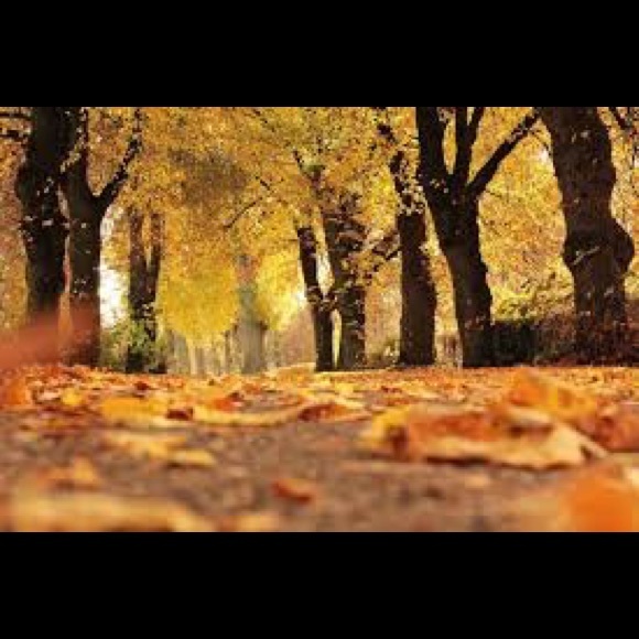 Meet your Posher, Angela - Picture 1 of 1